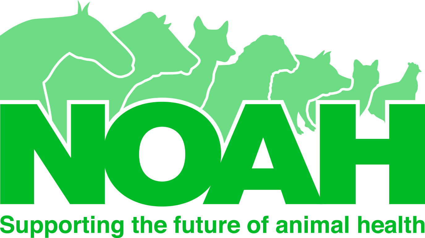 NOAH Logo (Supporting…) copy