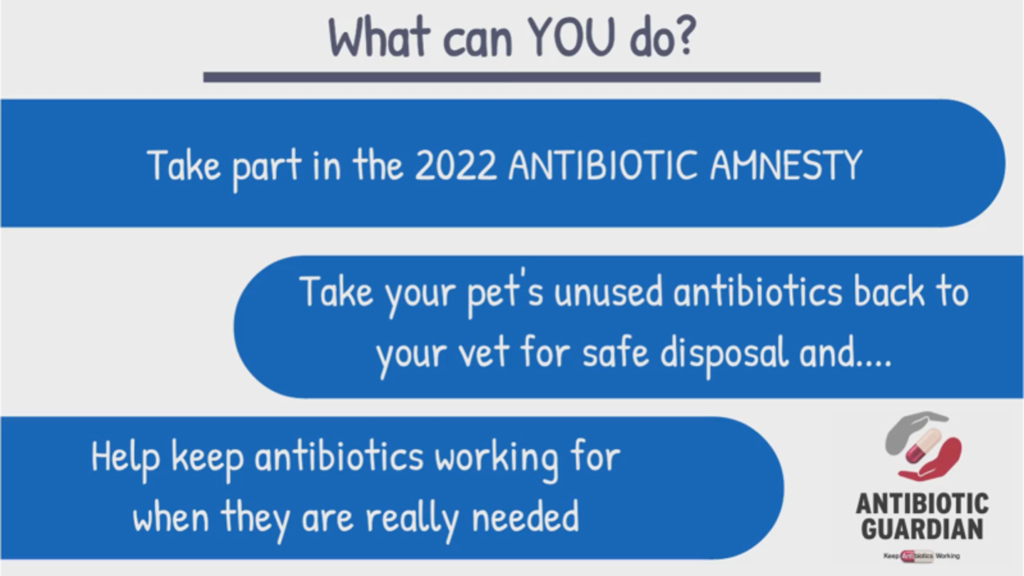 antibiotic amnesty info