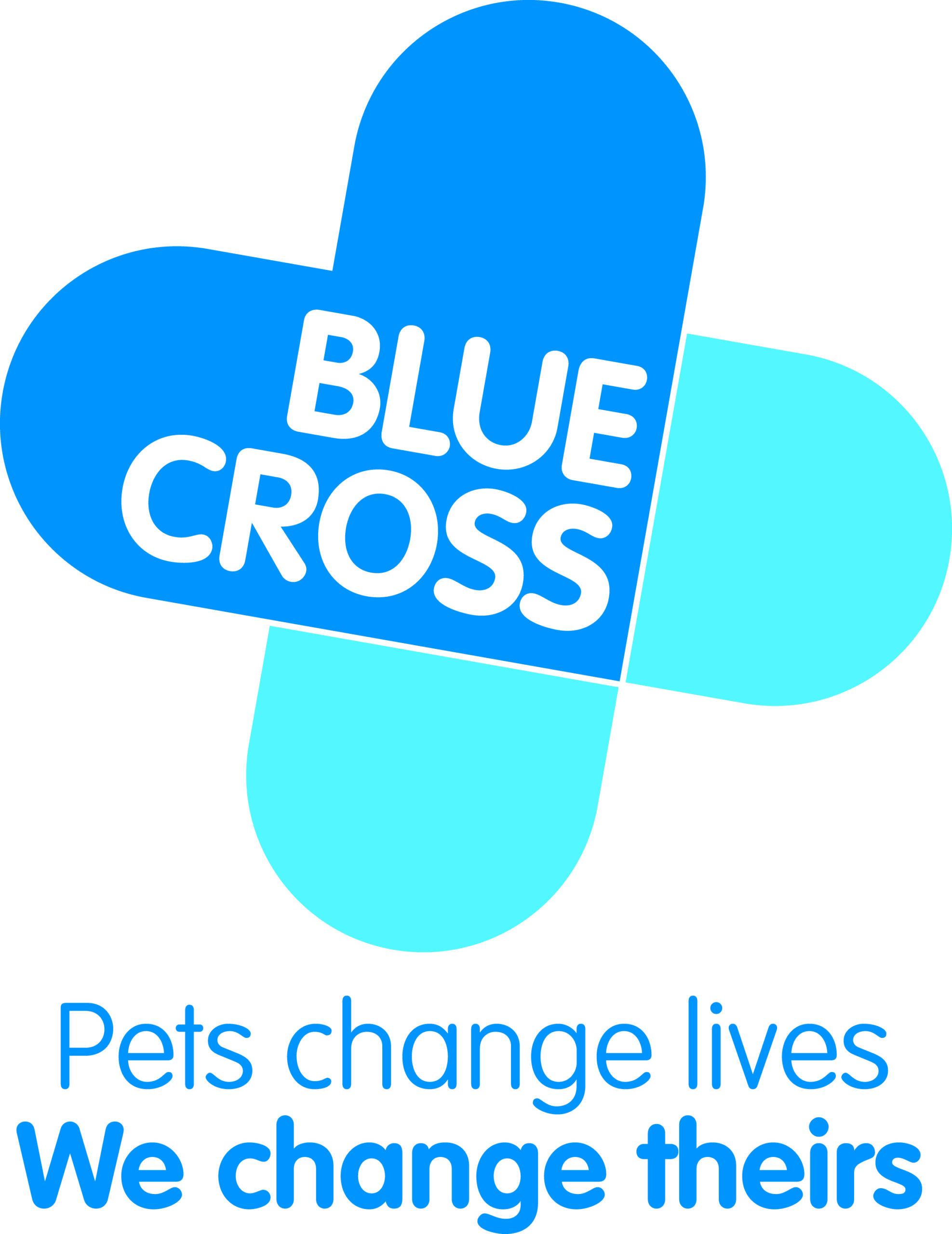 BX_125_Logo_Strapline_P_CMYK_RD